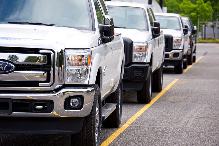 A line of white Ford trucks is parked in a row.