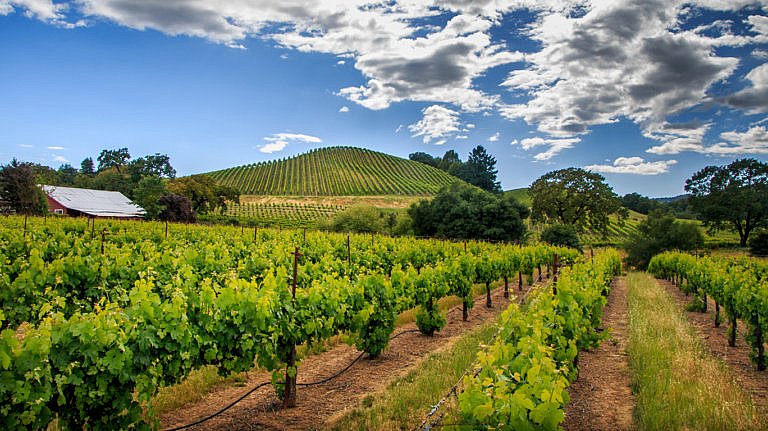 Lemon Law Attorneys in the “Valley of the Moon”, Sonoma County