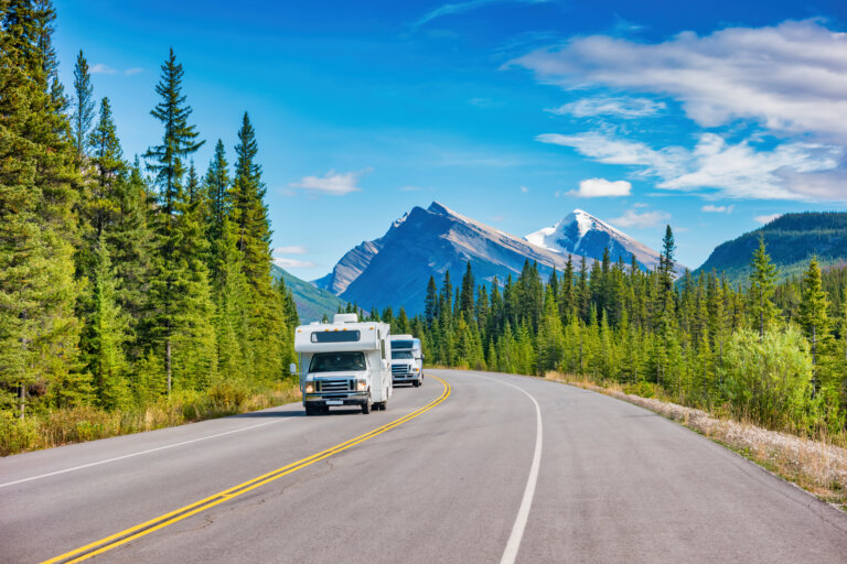 RVs driving along a mountain highway surrounded by pine trees and snow-capped peaks.